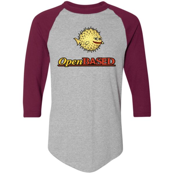 OpenBased Colorblock Raglan Jersey - Image 2