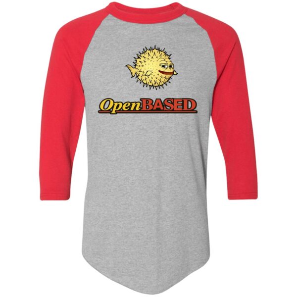 OpenBased Colorblock Raglan Jersey - Image 3