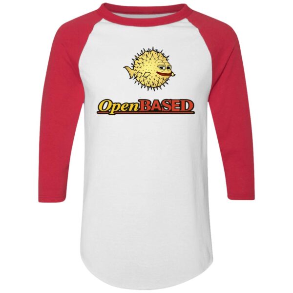 OpenBased Colorblock Raglan Jersey - Image 11