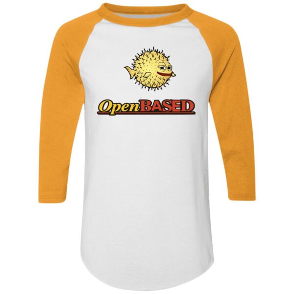 OpenBased Colorblock Raglan Jersey - Image 8