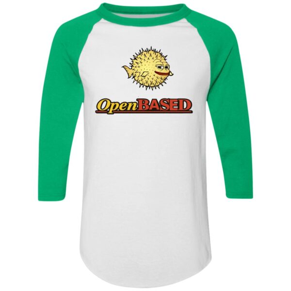 OpenBased Colorblock Raglan Jersey - Image 13