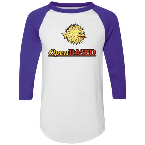 OpenBased Colorblock Raglan Jersey - Image 15